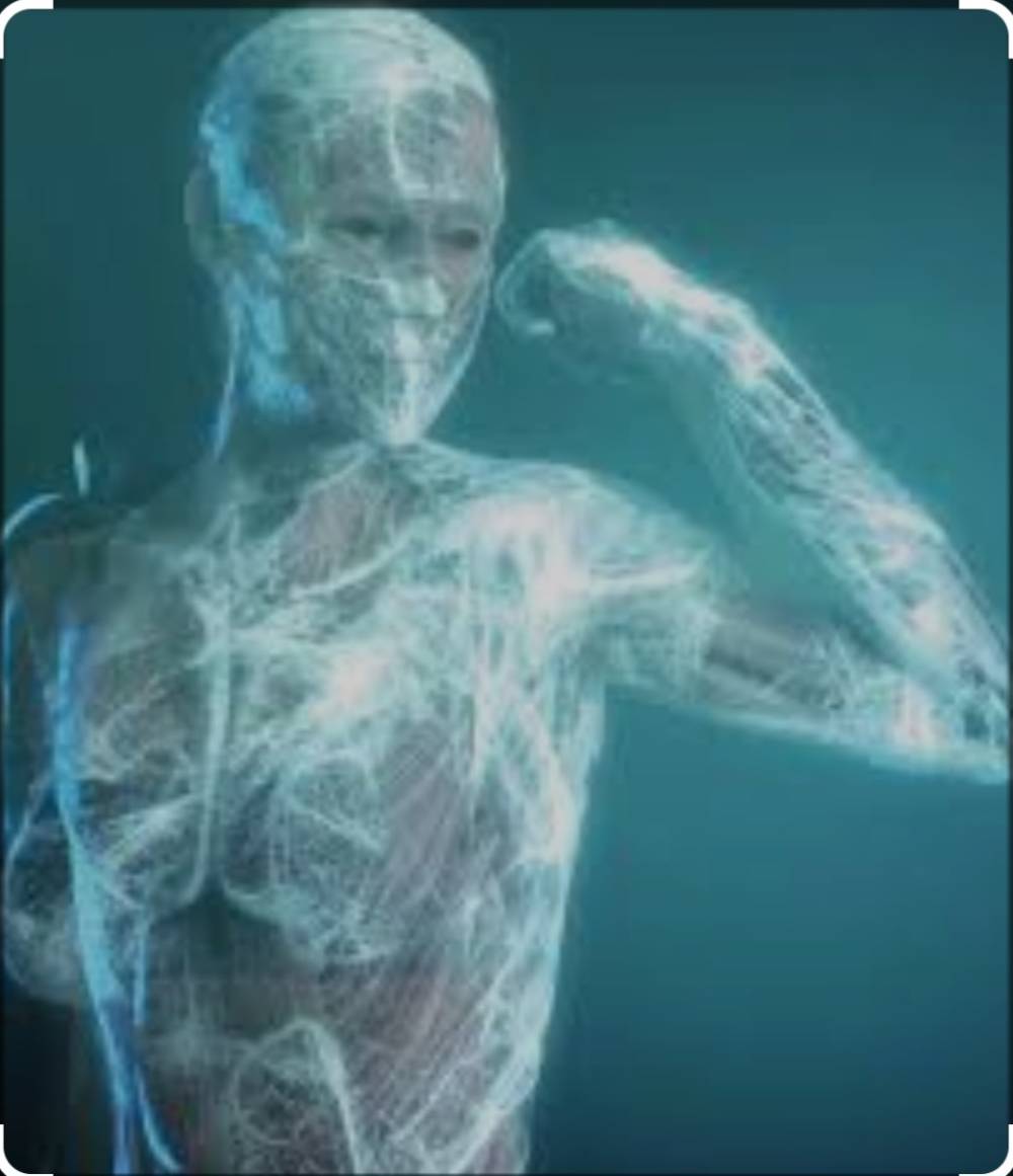 fascia image